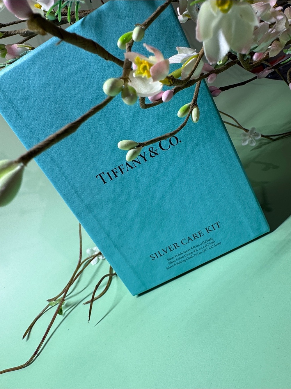 Tiffany & Co. Silver Care Kit Box